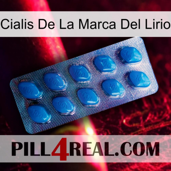 Lily Brand Cialis viagra1.jpg